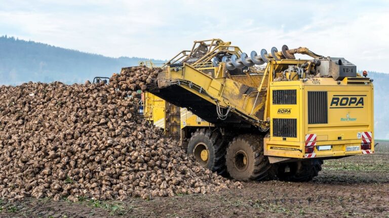 Statistical table of German sugar beet campaign results 2023 to 2026