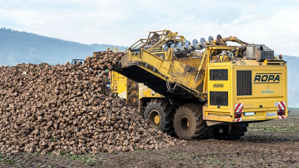 Statistical table of German sugar beet campaign results 2023 to 2026