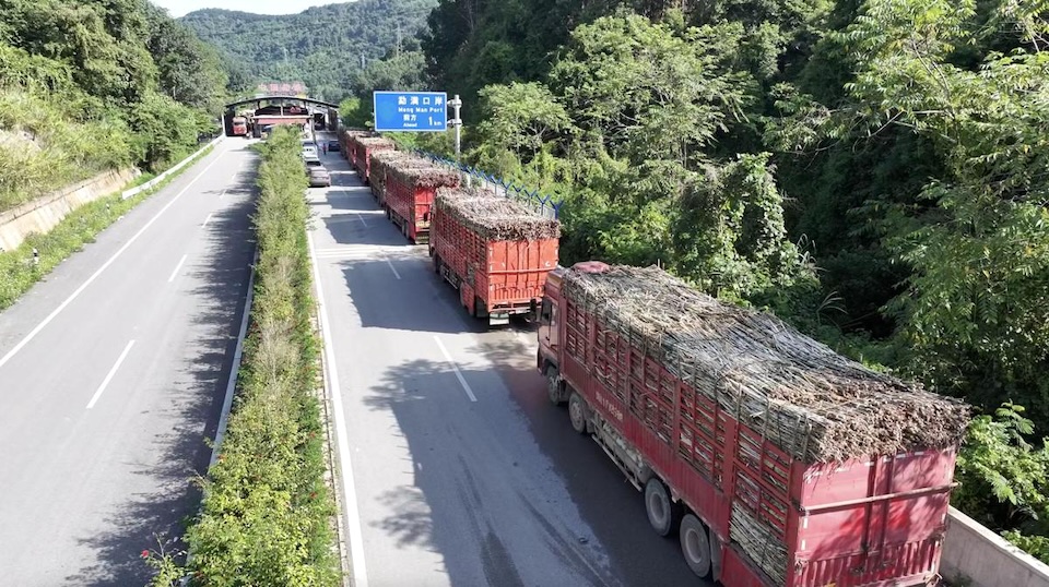 China sugarcane imports from Laos data 2015-2026 table