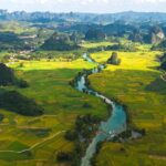 China's "Sugar Capital" GuangXi