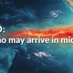 El Nino 2026 probability forecast graph