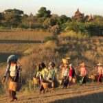 Yunnan Sugar Myanmar Sugarcane Substitution data table