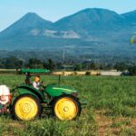 Guatemala Sugar Production 2026/27 forecast chart