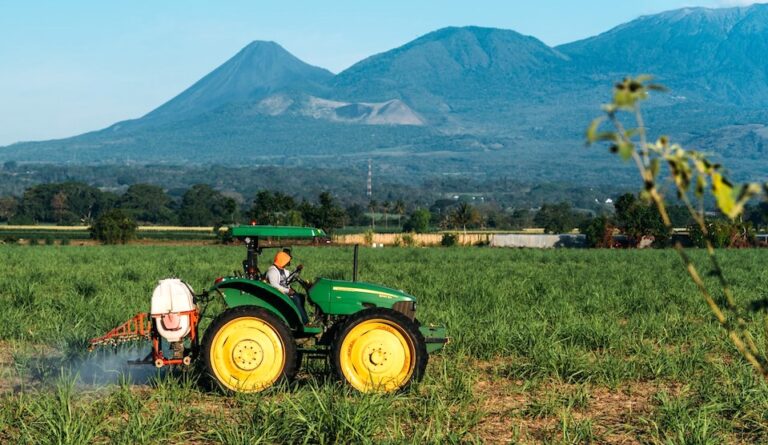 Guatemala Sugar Production 2026/27 forecast chart