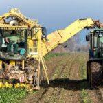 EU Sugar Import Suspension 2026 - Beet Harvester and Global Trade Impact