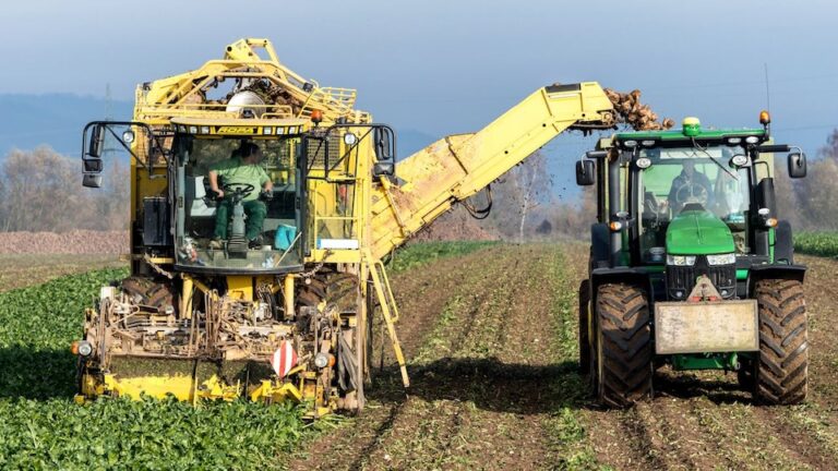 EU Sugar Import Suspension 2026 - Beet Harvester and Global Trade Impact