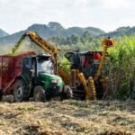 Small-scale sugarcane harvesting machinery in mountainous Yunnan