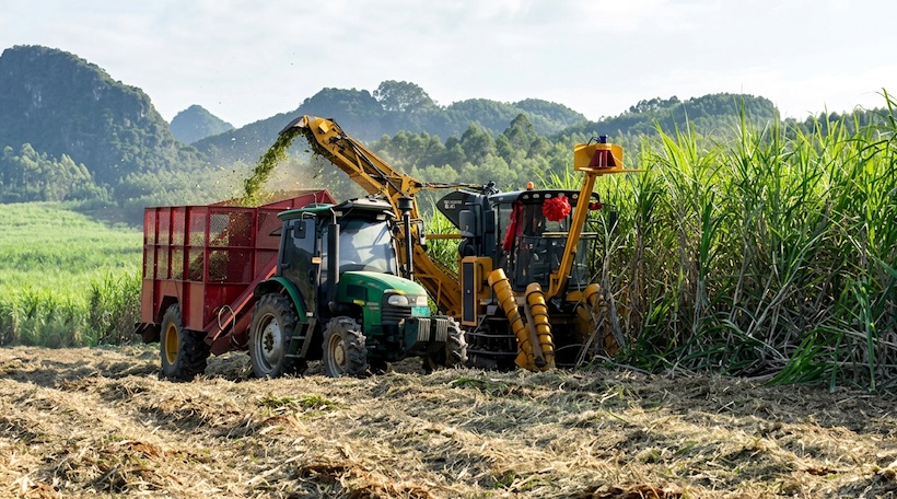 Small-scale sugarcane harvesting machinery in mountainous Yunnan