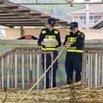 Chinese customs officers inspecting China Yunnan imported sugarcane at the border station during the 2025/26 season.