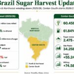 Brazil sugarcane trends and production data chart for 2025/26 and 2026/27 seasons