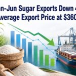 Brazil sugar export decline chart with cargo ship, sugarcane, and sugar bags, Jan-Jun 2026 down 4.39%