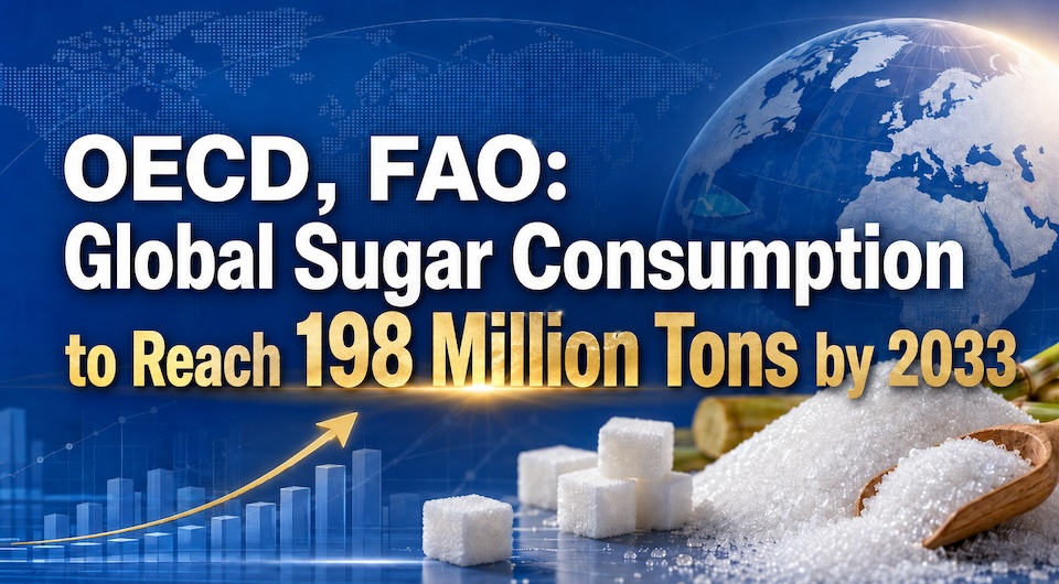 Infographic displaying global sugar consumption projections for 2033 showing Asia and Africa driving 96 percent of demand growth