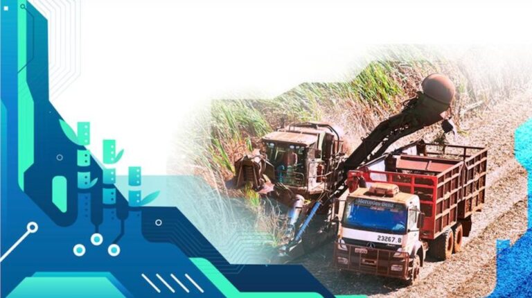 Brazil Unica sugar production chart showing 12.38 percent drop in South-Central region harvest